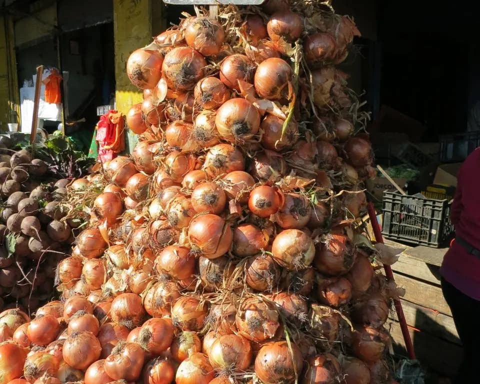Cebola