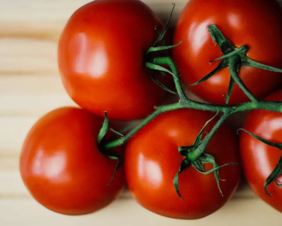 Tomate italiano